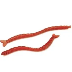 Trabucco Slurp Bloodworm