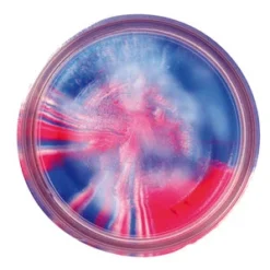 Berkley PowerBait Natural Scent - Garlic - Captain America