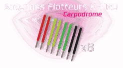 FF KIT Antennes / Verwisselbare Antennes Voor K1 Pro En K3 Pro